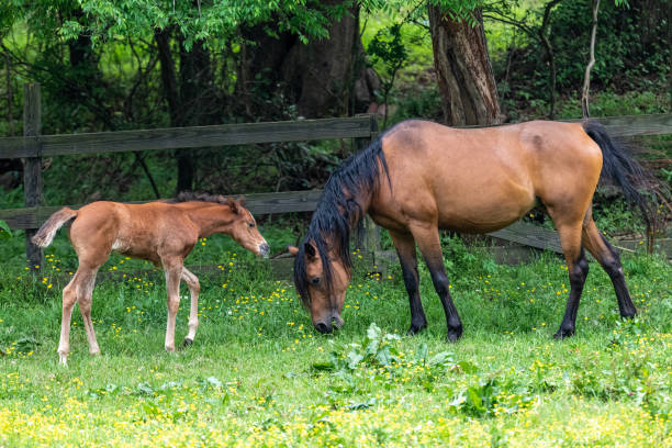 When Others Have Opinions: Trusting Your Own Mothering Intuition