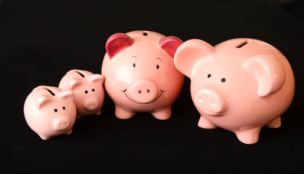 Planning for Future Expenses Calmly: A Gentle Guide for Mothers