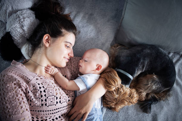 Quick Energy-Boosting Exercises for Busy Moms: Tiny Movement Breaks That Recharge Your Day