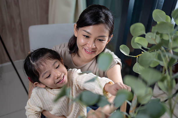 Finding Peace with In-Laws: Gentle Boundaries for Stressed Moms